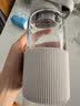 北鼎（Buydeem）泡茶随手杯 茶水分离玻璃水杯男款女款 泡茶杯子耐用便携办公礼物 实拍图