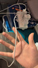 Apple/苹果 60W type-c充电线-1米 usb-c手机数据线 原装旗舰店苹果iPhone 17 Pro Max iPad快充线 实拍图