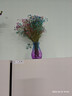 爱满（AIMAN）满天星天然干花花束ins网红生日 新房装饰摆件风干真插花家居摆设 白+粉满天星 【带M款花瓶】 实拍图