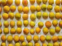 洽洽*奶龙联名每日坚果750g/30袋小黄袋混合干果小包装坚果礼盒恰恰 实拍图