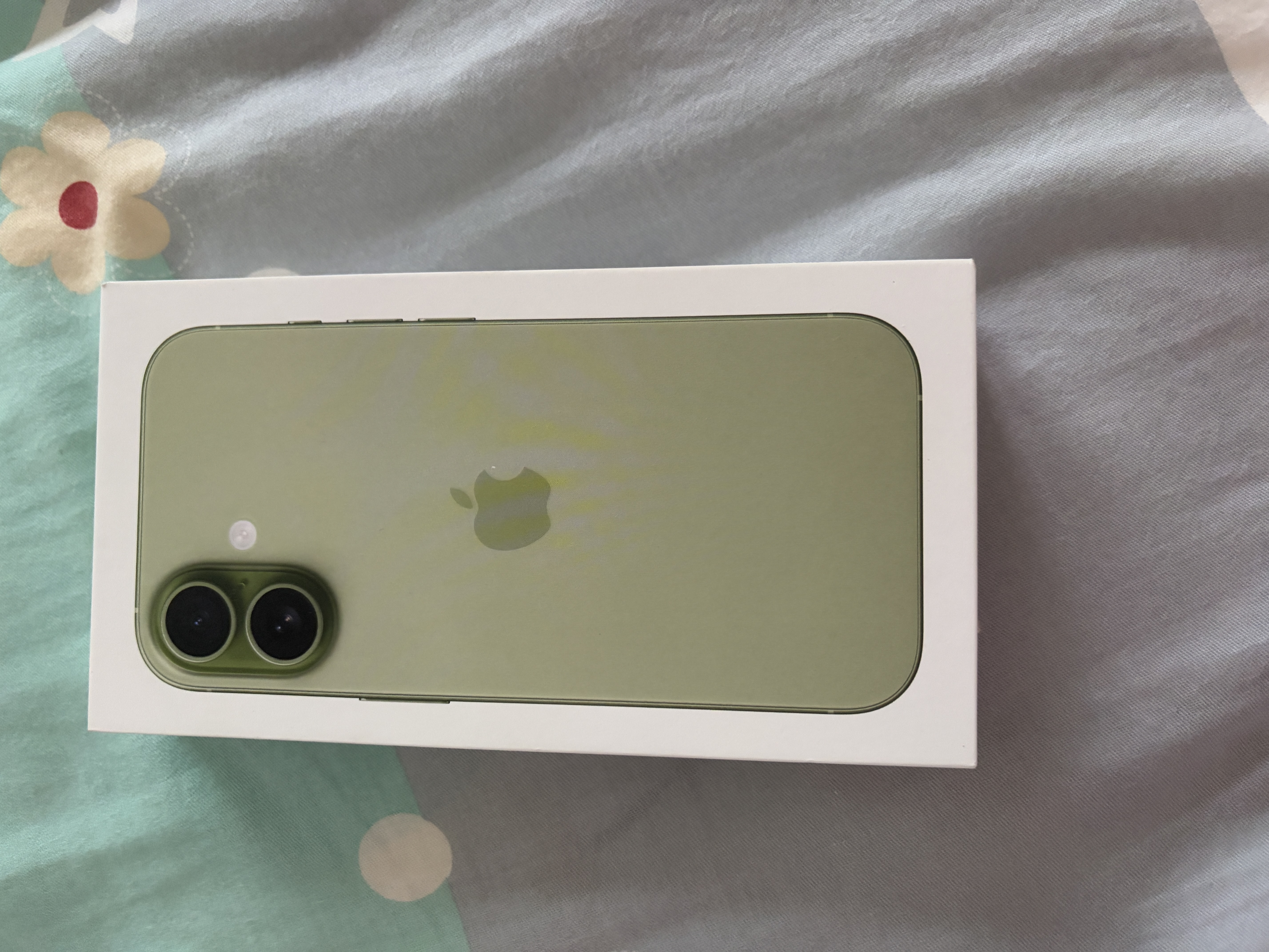 Apple/苹果 iPhone 17 512GB 鼠尾草绿色 支持移动联通电信5G 双卡双待手机 实拍图