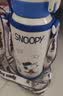 史努比（SNOOPY）保温杯儿童316L不锈钢大容量吸管水壶男女士学生便携上学喝水杯子 实拍图