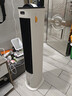 美的（Midea）【直流变频】家用空调扇 智能语音冷风扇 负离子净化落地冷风机水冷塔扇 强力制冷双向送风ADJ10SC 实拍图