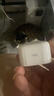 Apple/苹果 40W type-c快充充电器 苹果usb-c原装充电头 旗舰店新款苹果iPhone 17 Pro Max充电器 实拍图