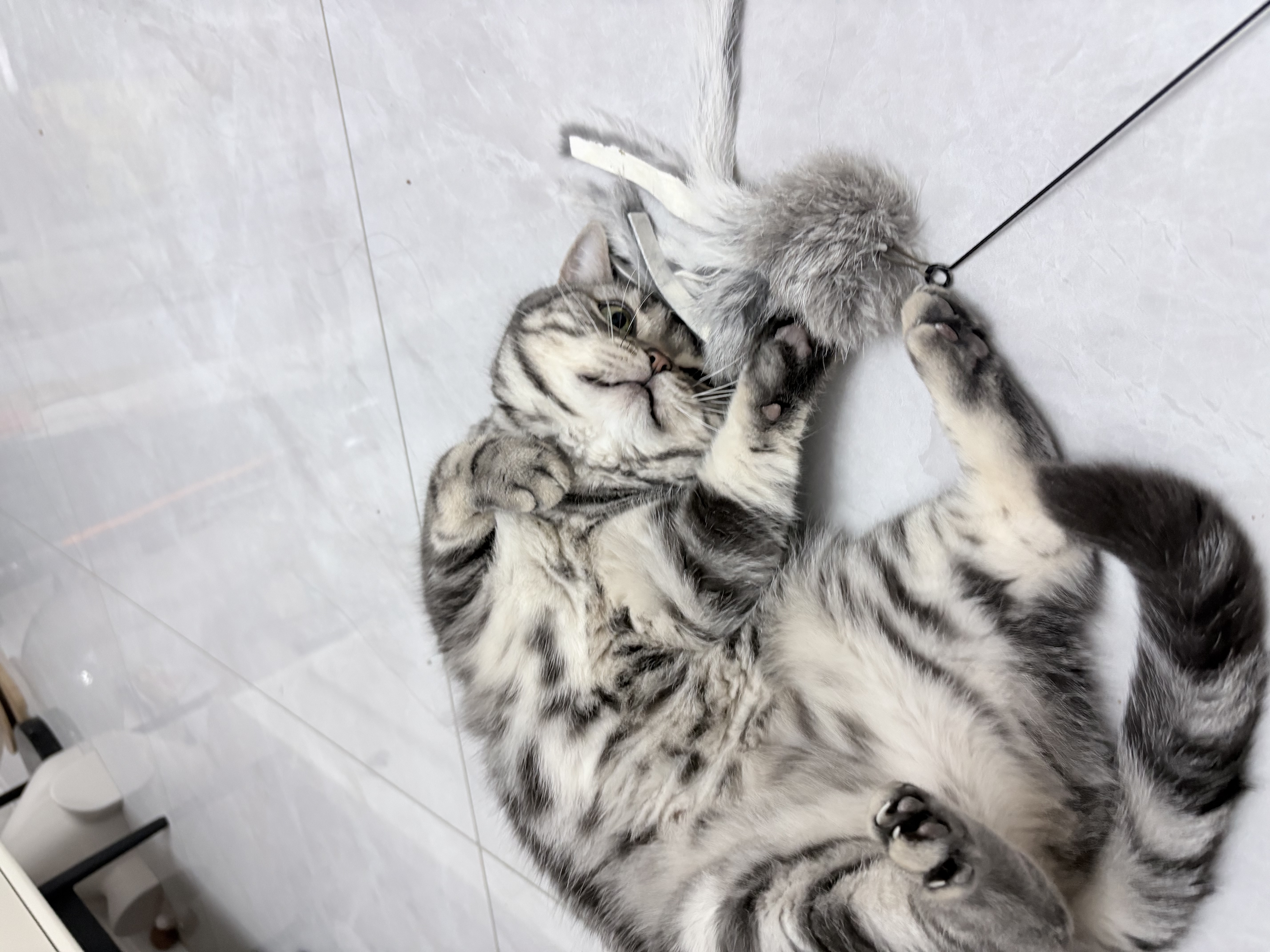 光多拉猫咪玩具兔毛八爪鱼逗猫棒自嗨解闷幼猫捕猎兔毛仿真章鱼丰荣玩具 实拍图