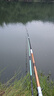 达亿瓦（DAIWA）一击 轻量鲤鱼鲫鱼草鱼罗非 进口鱼竿手杆 轻硬挺 休闲台钓 7.2m 一击T 72.K（大物）【大先径，轻松抛大饵】 不支持使用/试用后退换货 实拍图