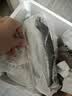 缤鲜山东 小银鲳鱼净重900g 约8-12条 深海平鱼 海鲜水产-源头直发 实拍图