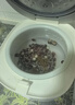 小熊（Bear）【价保618】电饭煲 电饭锅1-2人用 智能触控多功能不粘锅内胆小型迷你煮饭锅1.2L DFB-H12E6 实拍图