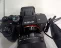 索尼（SONY）Alpha 7 IV 全画幅微单相机 创意外观滤镜+ SEL24105G 一镜走天下超值套装 4K视频 实拍图