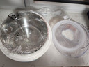 小熊酸奶机 家用酸奶机家用小型全自动酸奶发酵机微电脑定时自制夏天必备304不锈钢内胆炒酸奶发酵菌 【三档酸度+304内胆】SNJ-C10H1 实拍图
