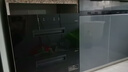 美菱（MeiLing）嵌入式消毒柜家用100L双层大容量碗筷茶杯不锈钢消毒碗柜高温二星级消毒柜 RTD-M100Q1 实拍图