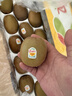 佳沛（zespri）新西兰 金果25-27粒特大单果124-146g 端午礼物水果礼盒 猕猴桃 实拍图