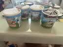 BEN & JERRY'S进口本杰瑞冰淇淋大桶装雪糕奶砖巧克力焦糖香草味【临期清仓】 实拍图