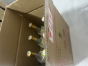 汾酒【酒厂直供】杏花村 黄盖玻汾53度 475ml*6瓶 清香型白酒 口粮酒 53度 475mL 6瓶 黄盖玻汾 实拍图