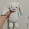Jellycat害羞乳白色邦尼兔动物毛绒玩偶安抚玩偶娃娃送礼生日礼物 害羞乳白色邦尼兔 Medium 实拍图