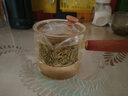 京东京造【2026新茶】明前特级碧螺春250g茶叶绿茶春茶自己喝自营高品质 实拍图