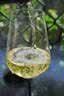 路易拉菲（LOUIS LAFON）法国进口红酒 霞多丽干白葡萄酒750ml*6 中秋送礼 实拍图