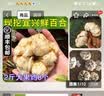 辰实宜兴新鲜百合【26年新货发顺丰】 食用大百合 特产微苦软糯 5斤【特大大百合约12个】 实拍图