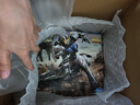 万代（BANDAI）MG1/100巴巴托斯铁血高达拼装模型 实拍图