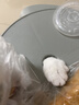 欢宠网猫奶瓶猫咪宠物幼猫幼犬喂奶神器奶嘴喂水喂药器猫咪狗狗小猫小狗 实拍图