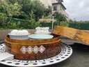 乐天LOTTE小熊饼干 泰国进口儿童饼干休闲零食巧克力味37克*6盒 实拍图