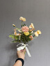 范爷家韩式领证小花束仿真花摆件小清新手捧花客厅玄关假花摆设拍照道具 实拍图
