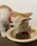 宝诺滋猫粮全价全期无谷猫粮成猫幼猫专用猫粮高蛋白鲜肉粮赠猫粮试用装 【限量抢购】试吃装50g*5袋 实拍图