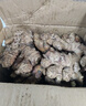 京鲜生 云南小黄姜净重5斤 生姜老姜嫩姜子姜仔姜干姜单果50g+源头直发 实拍图