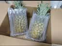 京鲜生海南金钻凤梨 净重3斤单果650g+新鲜水果生鲜源头直发 实拍图