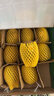 佳沛（zespri）新西兰 金果12粒特大果单果124-146g 端午节礼物水果礼盒 猕猴桃 实拍图