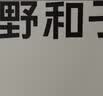 小野和子冰丝防晒裤女夏季凉感运动户外休闲直筒阔腿长裤 浅米色 M 实拍图