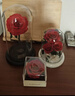RoseBox生日礼物永生花小王子玫瑰花结婚纪念毕业礼品送女生朋友高级实用 实拍图