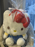 赟娅正版hellokitty玩偶三丽鸥公仔KT猫毛绒玩具抱睡枕情人节生日礼物 正版HelloKitty20寸（约66cm） 晒单实拍图