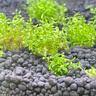 尼特利二代水草泥鱼缸专用水藻泥生态草缸底砂营养土1.5L/袋 实拍图