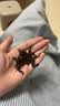 乐品乐茶毛尖茶叶特级明前春茶嫩芽2026新茶自饮礼盒装250g端午父亲节礼物 实拍图