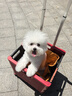 MISTOLIN进口纱窗清洁剂545ml免洗去污家用隐形门帘金刚网泡沫清洗除飘絮 实拍图