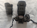 索尼（SONY）FE 20-70mm F4 G全画幅超广角标准变焦G镜头（SEL2070G） 实拍图