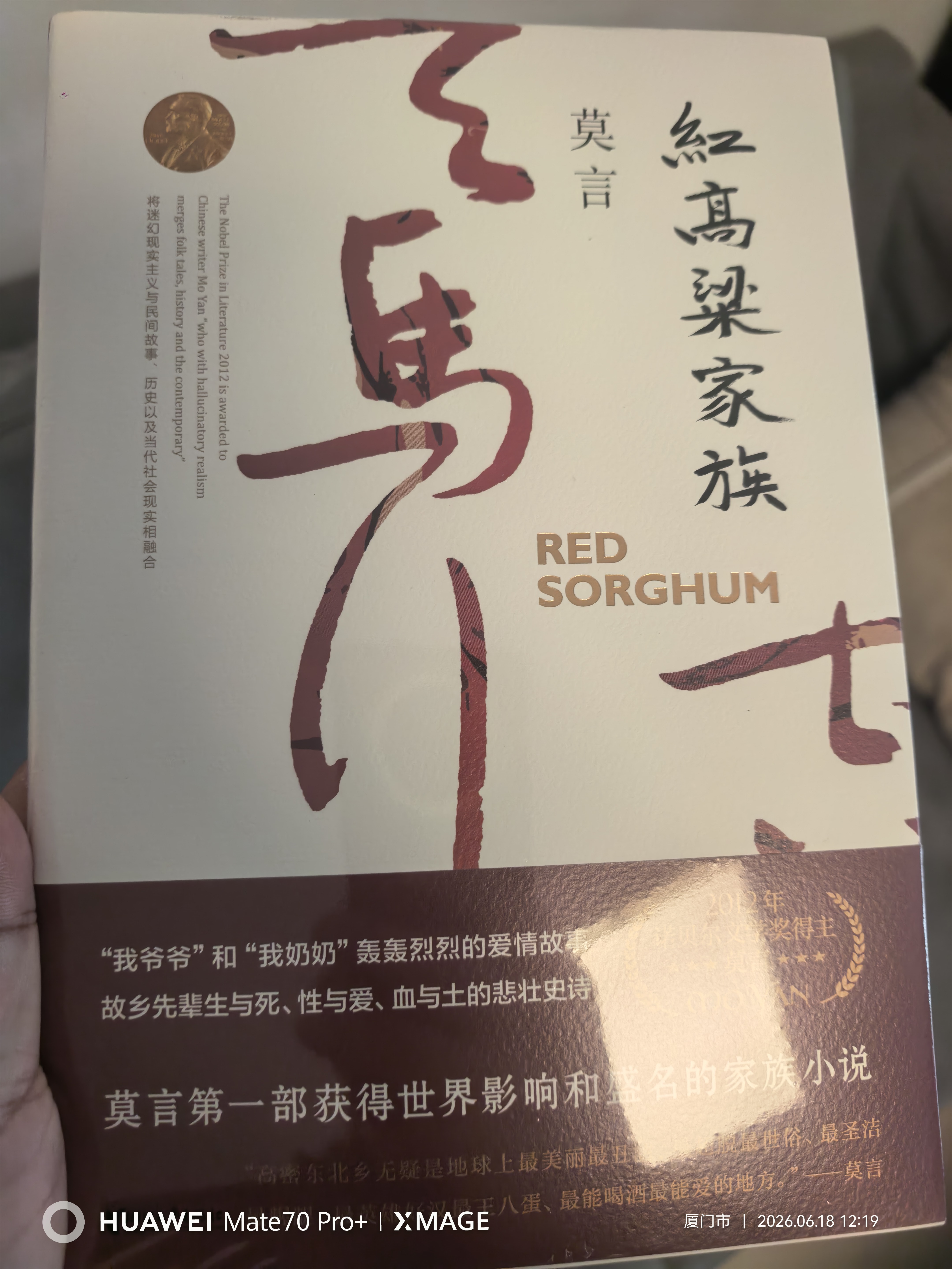 红高粱家族（张艺谋获得国际声誉的电影《红高粱》原著 《故事里的中国》力荐） 实拍图