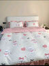 雅鹿水洗棉花边四件套公主风床单被套家用宿舍床裙被罩裸睡床上用品 可爱萌宠米【软糯亲肤放心裸睡】 1.8m 床裙款 四件套-被套200*230cm 实拍图