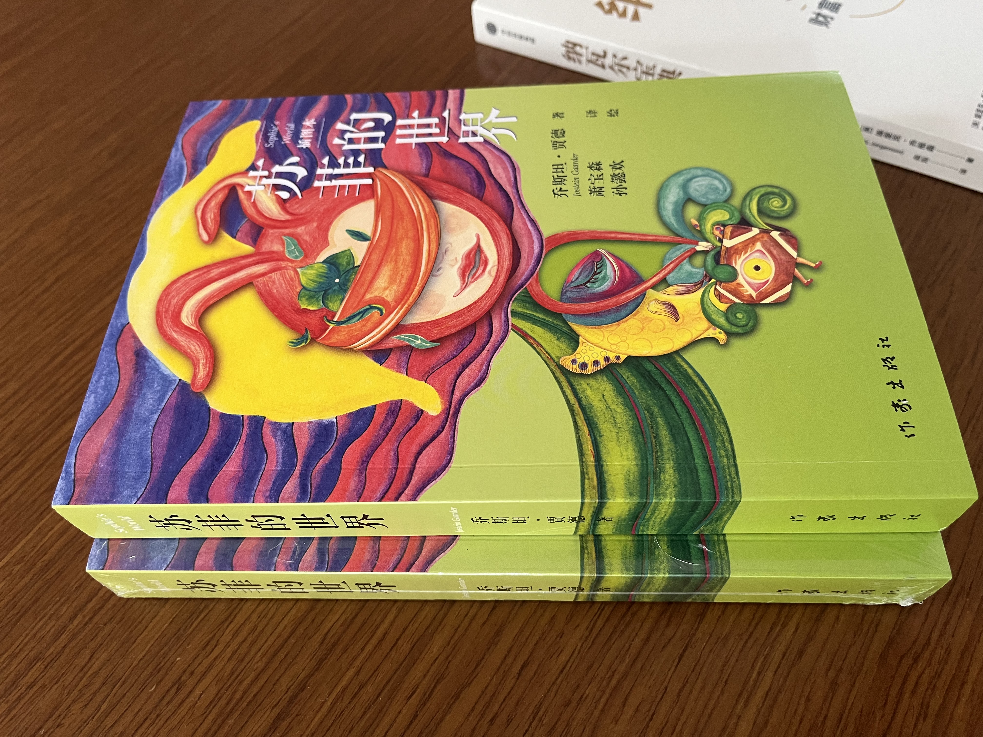 苏菲的世界插图本 新课标课外阅读 风靡世界的哲学启蒙入门 小说 实拍图