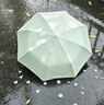 小魔遮阳晴雨伞五折防晒防紫外线胶囊伞迷你便携小巧折叠伞遮阳伞 实拍图