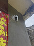 普联（TP-LINK）双摄1000万全彩摄像头家用监控器360度无死角带夜视全景追踪无线室外户外网络远程 IPC6Y109K-A4 实拍图