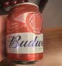 百威啤酒mini红罐淡色拉格255ml*24小罐整箱装京东自营喜酒端午送礼 实拍图
