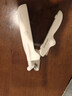 来旺兄弟狗狗指甲钳宠物猫咪指甲剪LED灯泰迪金毛指甲刀磨甲用品 白色 实拍图