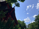 Kocotreekk树一次性雨衣便携防雨卡片应急户外旅行必备混色7个装 成人版 实拍图