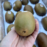 佳沛（zespri）新西兰 金果12粒特大果单果124-146g 端午节礼物水果礼盒 猕猴桃 实拍图