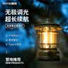 魔铁（MOTIE）复古露营灯照明灯帐篷氛围灯户外野营手提挂灯LED长续航马灯装备 实拍图