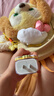 Apple/苹果 20W type-c充电器 苹果usb-c充电器原装手机快充头 旗舰店苹果iPhone 17 Pro Max充电器 实拍图