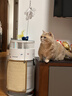 霍尼韦尔（Honeywell）宠物空气净化器价保618吸猫毛除过敏源猫猫搭子 猫毛净化器杀菌消毒除异味KJ360F-C22W 实拍图