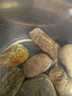 森森南极磷虾龙鱼饲料血鹦鹉鱼粮罗汉发财鱼食虾干乌龟粮 1.8升装 晒单实拍图